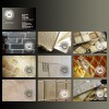 Silver Lion Trading Company