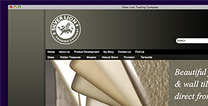 Silver Lion Trading Company